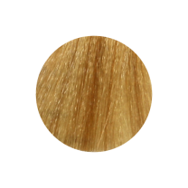 Nouvelle Haarfarbe 9.3 lichtblond gold