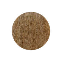 Nouvelle Haarfarbe 9.31 lichtblond asch gold